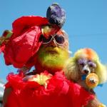 2007 Mermaid Parade